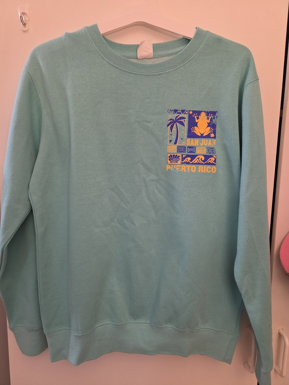 Men's Puerto Rico Graphic Crewneck Sweatshirt - Light Teal
